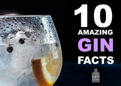 10 Amazing Facts About Gin